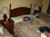 imgp0927_small.jpg
