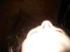 imgp0970_small.jpg